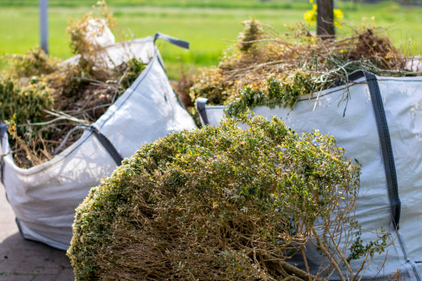 Best Affordable Junk Removal Services  in St Francis, WI