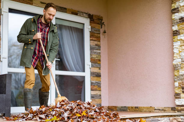 Best Yard Cleanup Services  in St Francis, WI